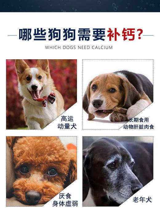 GL-谷登超能钙200g 宠物狗狗补钙JPY带授权招加盟代理 商品图4