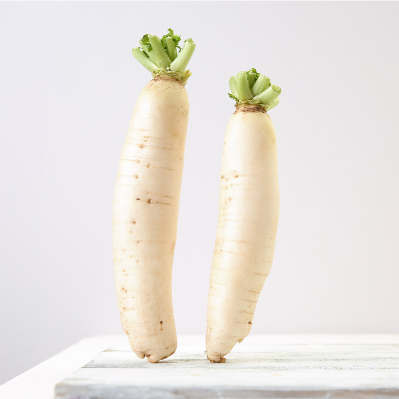 有机白萝卜
