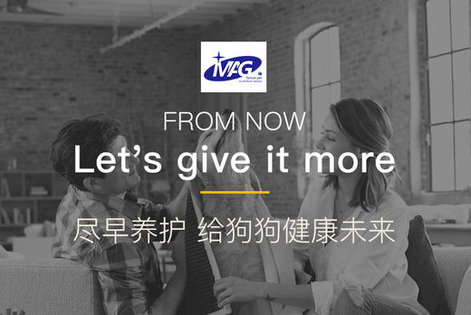 BJ-MAG金维他营养粉 300片 宠物营养JPY带授权招加盟代理 商品图9