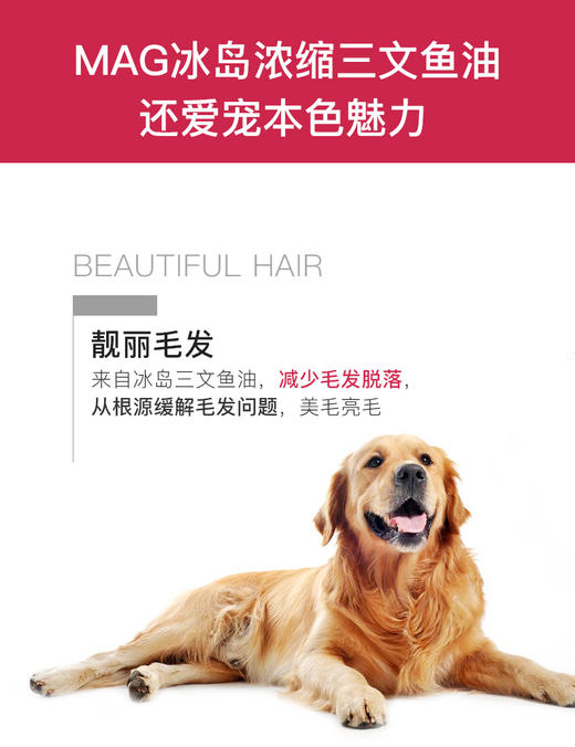 BJ-MAG犬用浓缩冰岛三文鱼鱼油150ml 宠物鱼油JPY带授权招加盟代理 商品图5