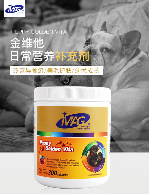 BJ-MAG金维他营养粉 300片 宠物营养JPY带授权招加盟代理 商品图1