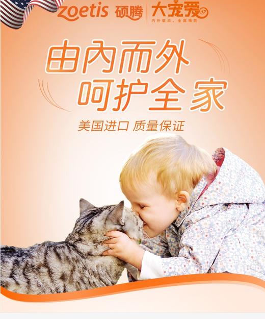 大宠爱猫用体外驱虫45mg 2.5-7.5kgJPY带授权招加盟代理 商品图1