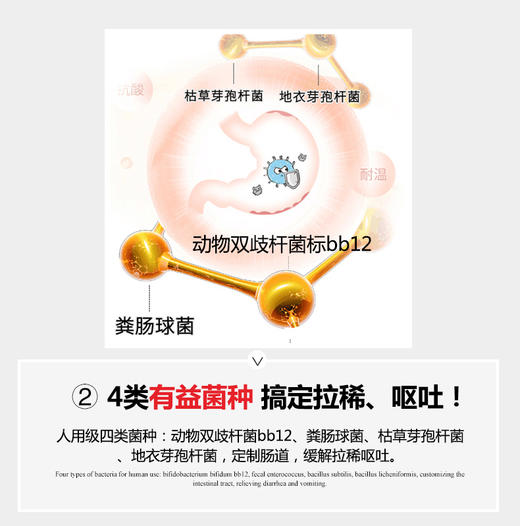 GL-谷登宠物益生菌 1盒装JPY带授权招加盟代理 商品图9