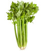 有机芹菜 商品缩略图0