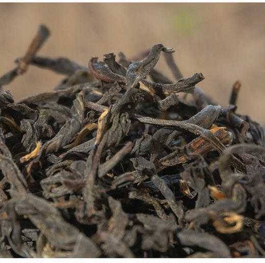 02期：红茶适合长期保存吗？ 商品图0