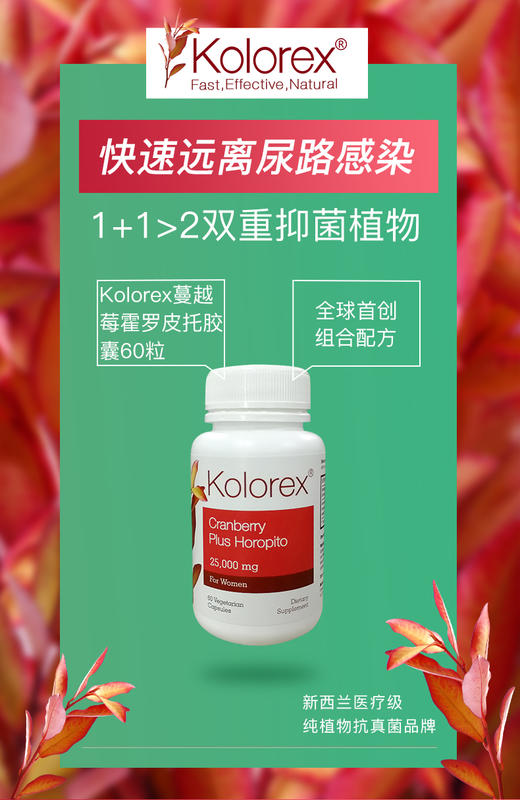 【授权商品】【香港直邮】新西兰kolorex霍罗皮托蔓越莓胶囊2500mgJPY带授权招加盟代理 商品图1