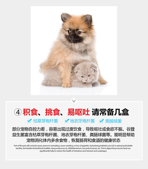 GL-谷登宠物益生菌 1盒装JPY带授权招加盟代理 商品图12