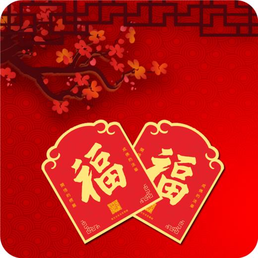 新春大礼包（含对联、窗花、红包） 商品图0