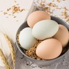 『散养土鸡蛋』30枚稻壳环保包装（约40g/枚） 商品缩略图0