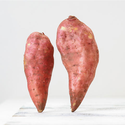 物本源地瓜 商品图0