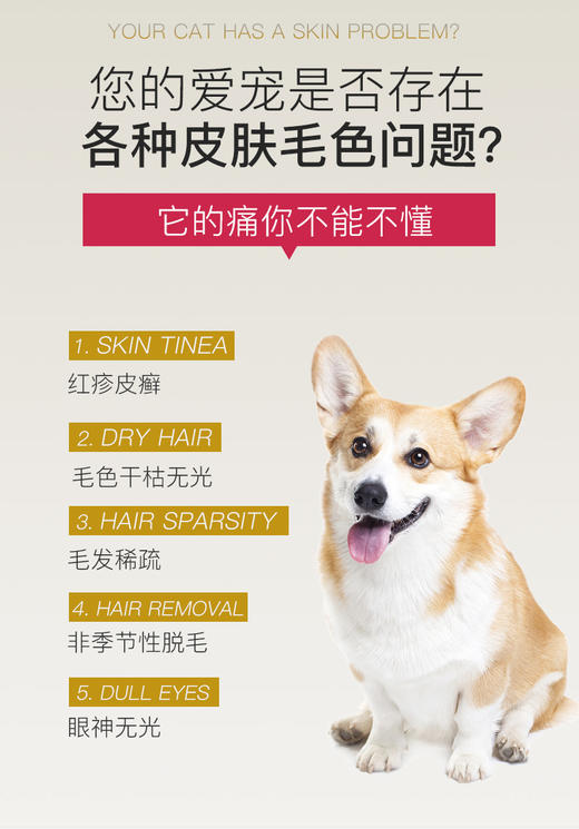 BJ-MAG犬用浓缩冰岛三文鱼鱼油150ml 宠物鱼油JPY带授权招加盟代理 商品图2