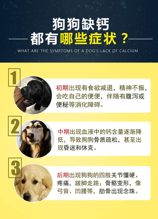 GL-谷登超能钙200g 宠物狗狗补钙JPY带授权招加盟代理 商品图3