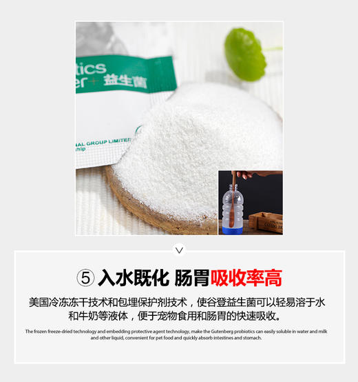 GL-谷登宠物益生菌 1盒装JPY带授权招加盟代理 商品图13