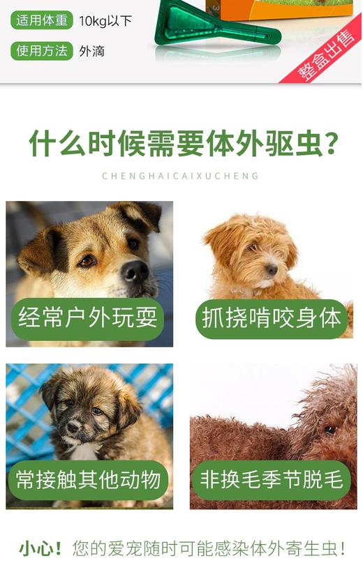 福来恩犬用体外驱虫滴剂 3支/盒JPY带授权招加盟代理 商品图2