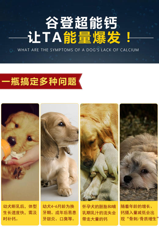 GL-谷登超能钙200g 宠物狗狗补钙JPY带授权招加盟代理 商品图7