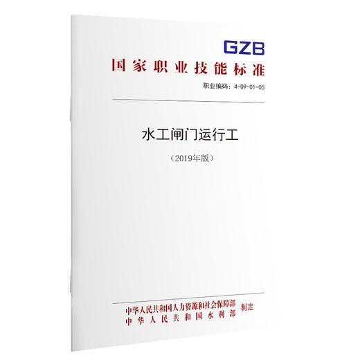 国家职业技能标准  水工闸门运行工（2019年版） 商品图0