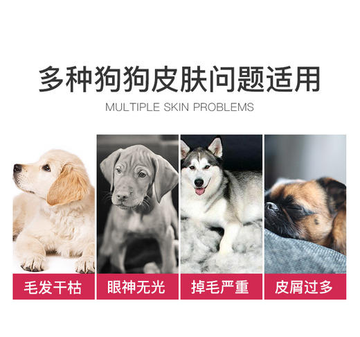 BJ-MAG犬用浓缩冰岛三文鱼鱼油150ml 宠物鱼油JPY带授权招加盟代理 商品图9