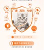 大宠爱猫用体外驱虫45mg 2.5-7.5kgJPY带授权招加盟代理 商品缩略图7