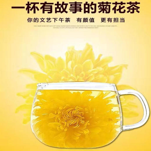 【明目去火】金丝皇菊一朵一杯 商品图1