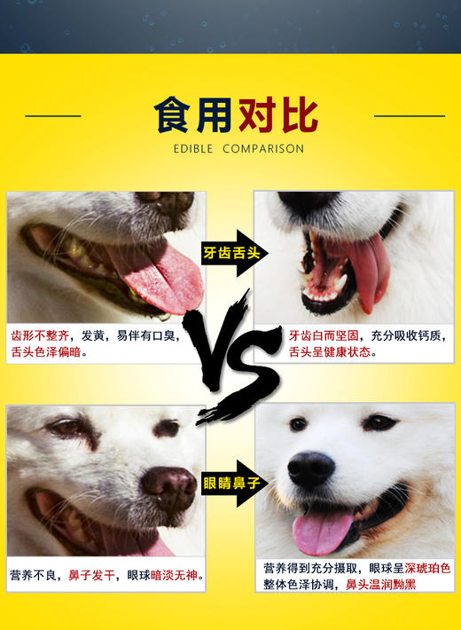 GL-谷登超能钙200g 宠物狗狗补钙JPY带授权招加盟代理 商品图9