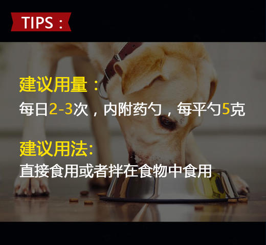 GL-谷登超能钙200g 宠物狗狗补钙JPY带授权招加盟代理 商品图10