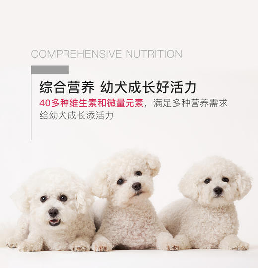 BJ-MAG金维他营养粉 300片 宠物营养JPY带授权招加盟代理 商品图5