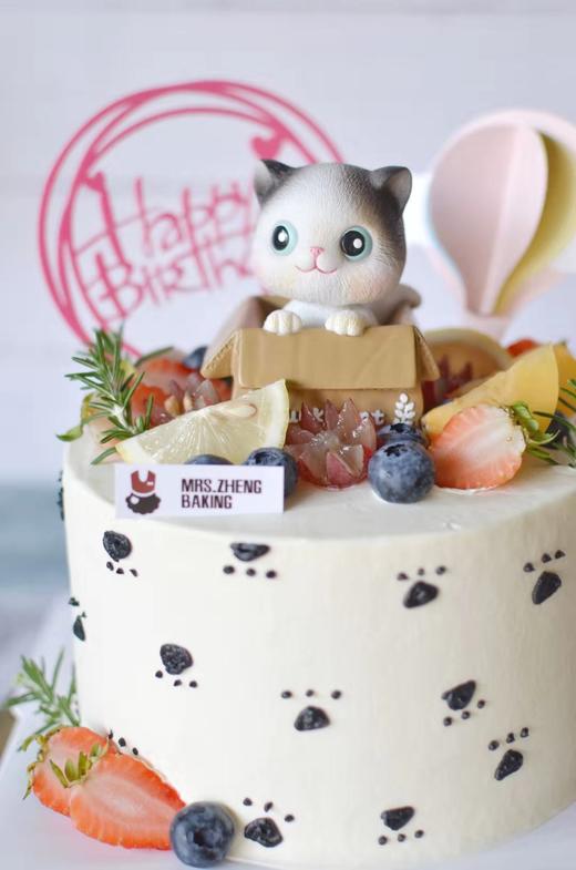 家有喵星人加高款 商品图1