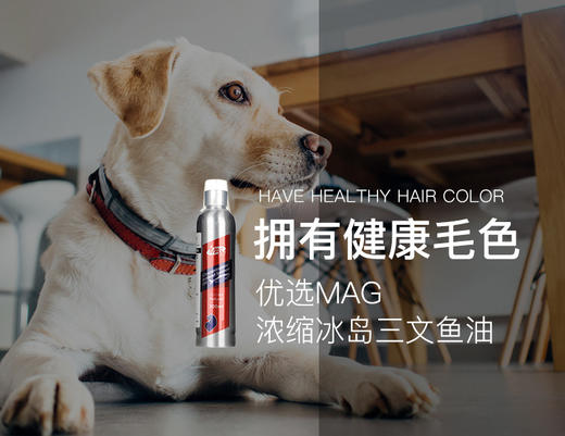 BJ-MAG犬用浓缩冰岛三文鱼鱼油150ml 宠物鱼油JPY带授权招加盟代理 商品图10