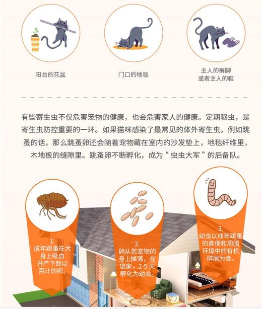 大宠爱猫用体外驱虫45mg 2.5-7.5kgJPY带授权招加盟代理 商品图3