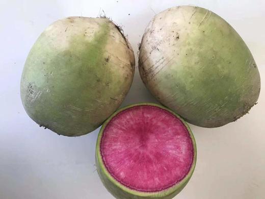 自然农法种植8种蔬菜组合箱 商品图9