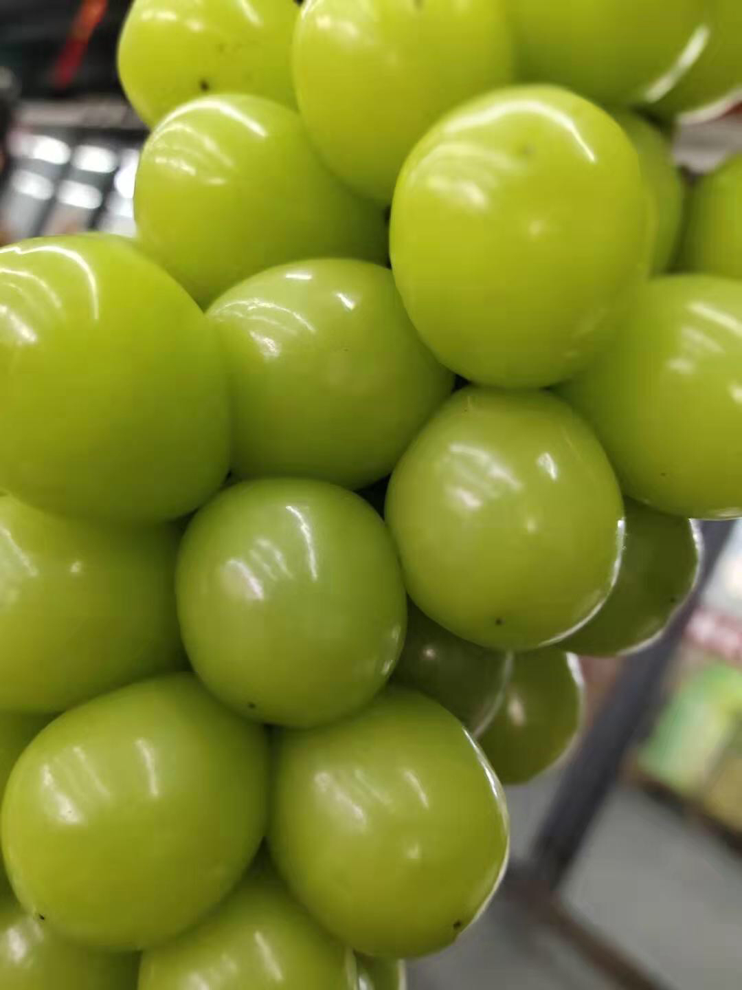 韩国进口晴王葡萄超大颗粒甜度非常高的轻奢水果自然成熟果肉脆甜多汁