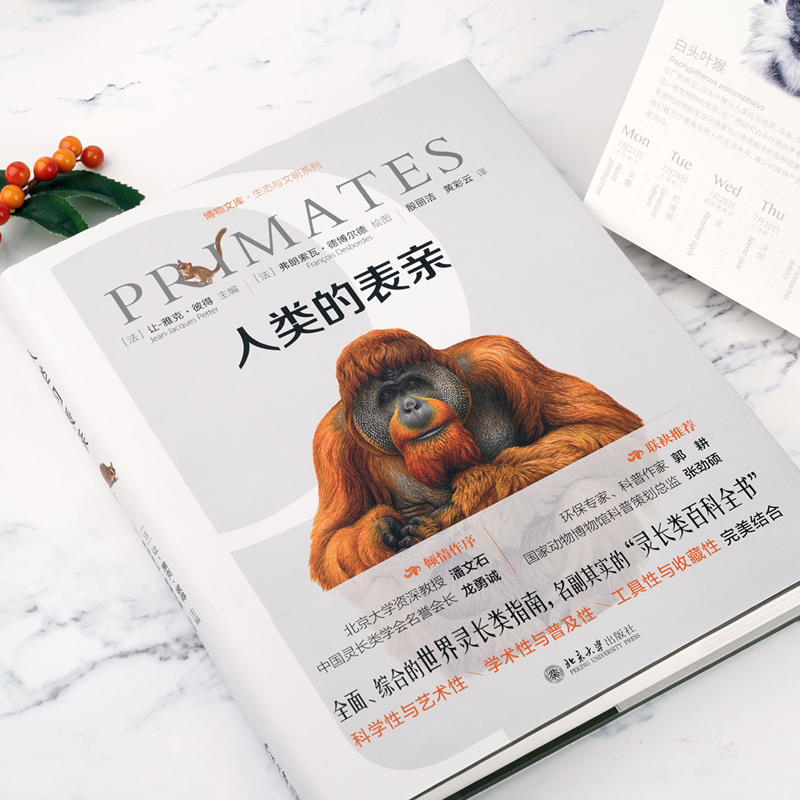 正版图书人类的表亲灵长类动物猩猩猿猴精美插画百科全书