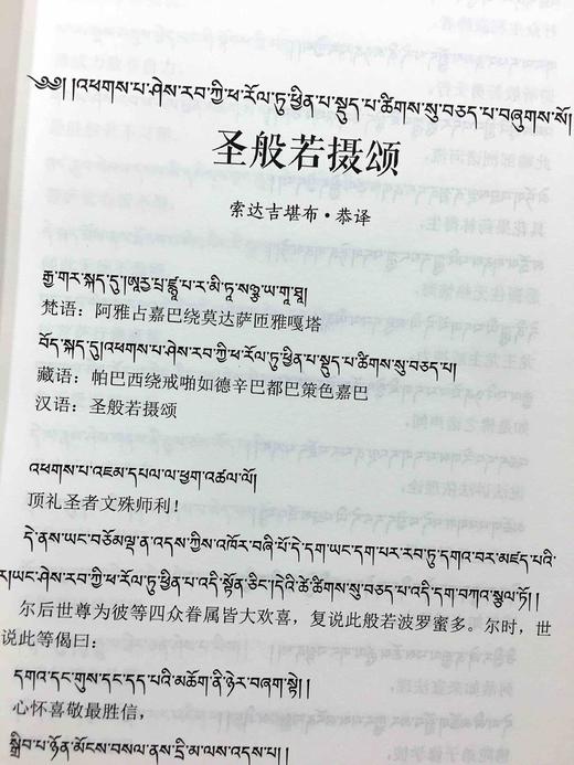 般若摄颂释 西藏藏文古籍出版社 麦彭仁波切著、索达吉堪布译 摄 释迦牟尼佛 颂 亲口宣说的一部佛经释释迦牟尼的故事 商品图4