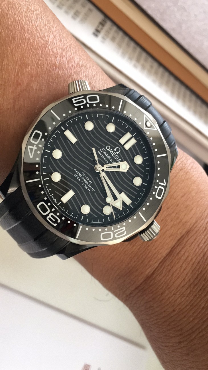 买家秀新款陶瓷海马300