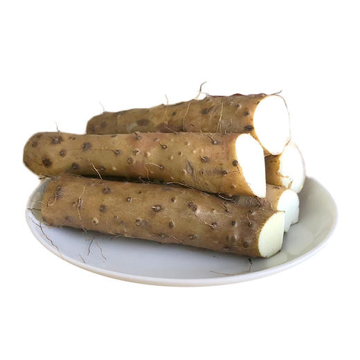 河南温县垆土铁棍新鲜山药5斤装 现挖现发 秋冬进补好食材 商品图6