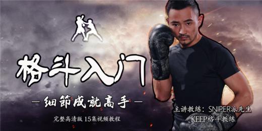 【格斗迷原创】格斗入门-细节成就高手 商品图0