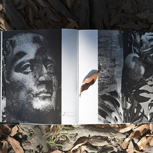 20世纪杰出私人园林的影像全记录：杰弗里·巴瓦《卢努甘卡庄园》 商品图4