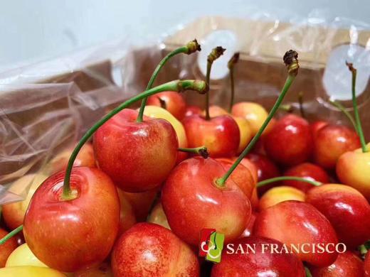 #智利空运 首批SAN FCO Rainier雷尼尔黄车超级‎脆‎甜​，嗨起来 商品图1