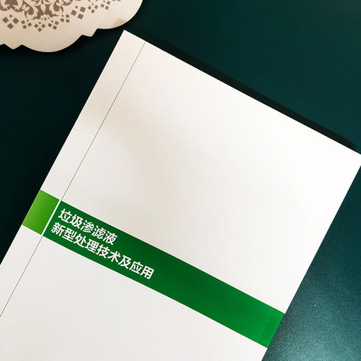 垃圾渗滤液新型处理技术及应用 商品图2