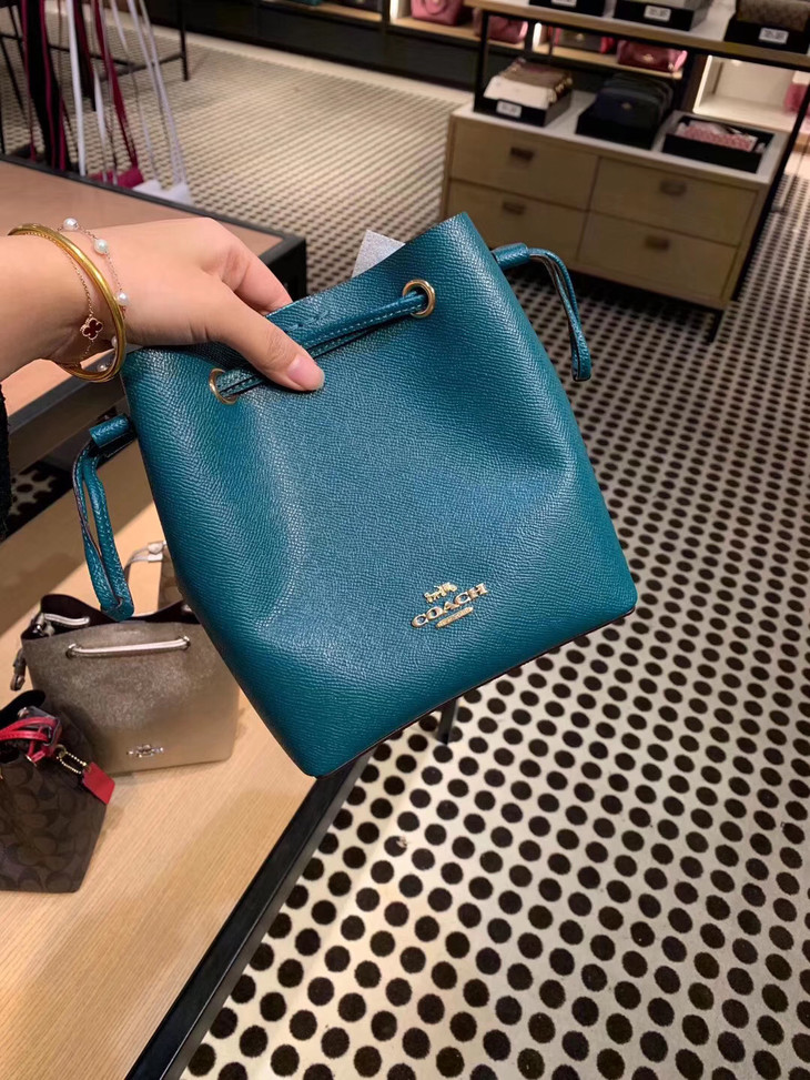 Lv同款 Coach感恩节限定版lena水桶包
