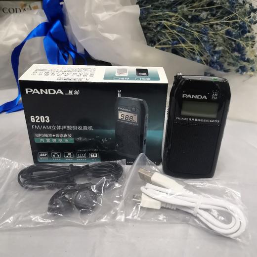 熊猫收音机6203 商品图2