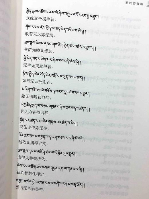 般若摄颂释 西藏藏文古籍出版社 麦彭仁波切著、索达吉堪布译 摄 释迦牟尼佛 颂 亲口宣说的一部佛经释释迦牟尼的故事 商品图5