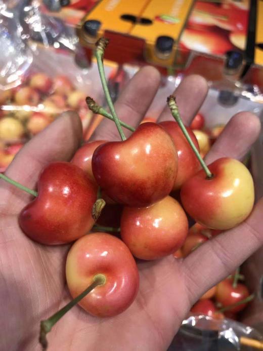 #智利空运 首批SAN FCO Rainier雷尼尔黄车超级‎脆‎甜​，嗨起来 商品图2