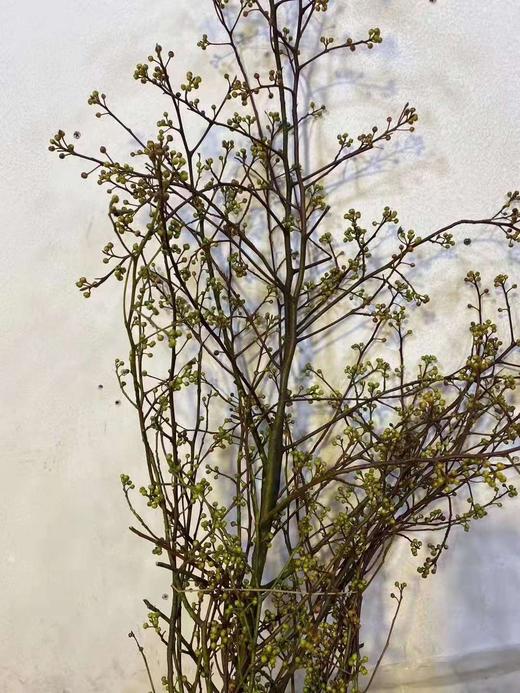 配花-灯台6-7支 商品图0