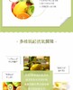 BOTANI 角鲨烯精华 15MLJPY带授权招加盟代理 商品缩略图11