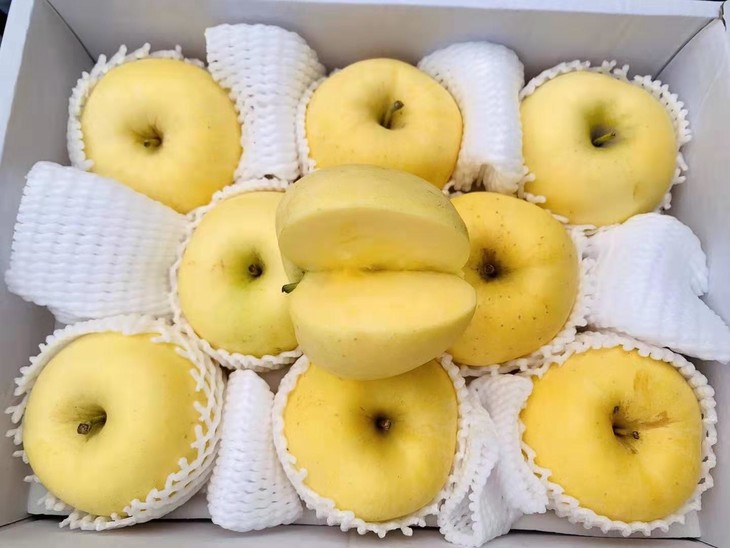 冬恋苹果黄金苹果一件89个