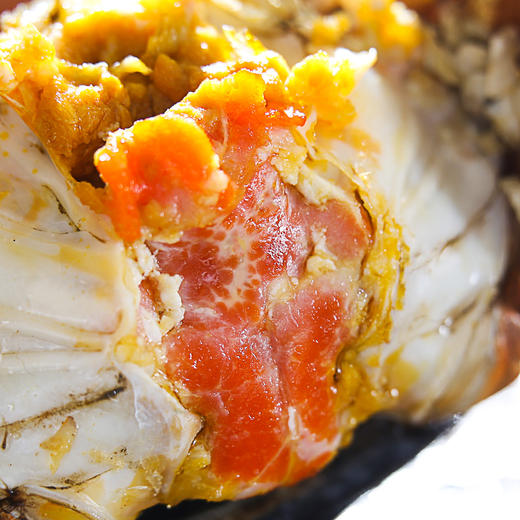 2.5母大闸蟹 125g/膏红肉肥/垂涎三尺 商品图1