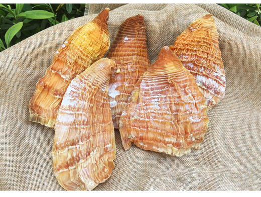 素食庄园江西井冈山农家自制散装笋干干货野生冬笋尖竹笋干春笋干 250g 商品图0