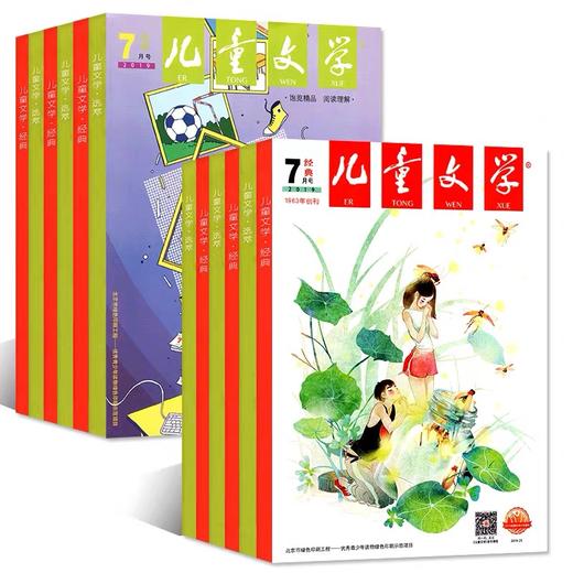 《儿童文学》少年版，中少出版社，年刊12期24本订阅 商品图1