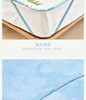 博洋家纺/BEYOND 博洋出品夏凉冰丝凉感印花席子三件套   清凉冰丝，舒适相伴，无纺布更透气，适宜空气流动，匠心设计，舒爽透气，加厚包边  JPY带授权招加盟代理 商品缩略图11